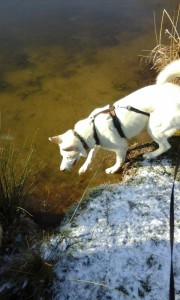Aïsha stapt voorzichtig het ijs op