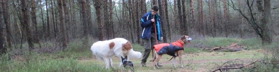 Maaike Kuyk, Gedragstherapeut voor honden